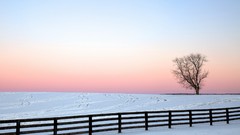 Landscapes Trees snow fences