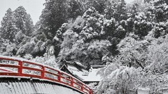Landscapes Trees snow Japan Asia Bridges
