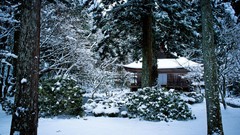 Landscapes Trees snow Japan Asia Kyoto houses
