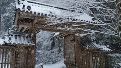 Landscapes Trees snow Japan Asia Temples