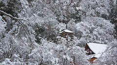 Landscapes Trees snow Japan Asia Temples