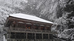 Landscapes Trees snow Japan Asia Temples
