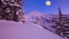 Landscapes Trees snow moon