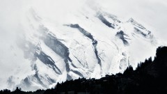 Landscapes Trees snow Mountains