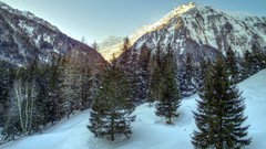 Landscapes Trees snow Mountains