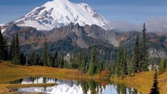 Landscapes Trees snow Mountains lakes