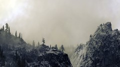 Landscapes Trees snow panorama California Yosemite National 