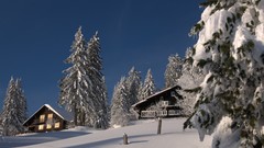 Landscapes Trees snow switzerland Europe houses evergreens