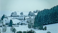 Landscapes Trees snow switzerland Europe houses forests Villages