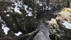 Landscapes Trees snow water forests