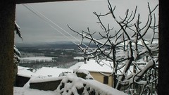 Landscapes Trees snow winter