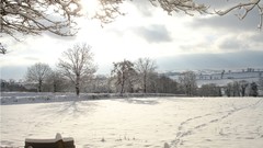 Landscapes Trees snow winter
