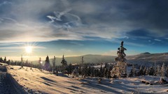 Landscapes Trees snow winter