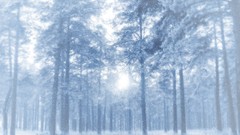 Landscapes Trees snow winter cgi