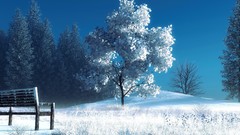 Landscapes Trees snow winter computer generated