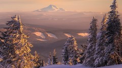 Landscapes Trees snow winter HDR Photography