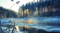 Landscapes Trees snow winter ice frost rivers