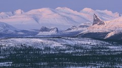 Landscapes Trees snow winter Mountains