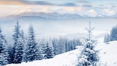 Landscapes Trees snow winter Mountains forests