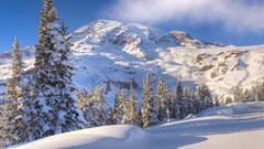 Landscapes Trees snow winter Mountains HDR Photography