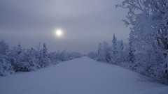 Landscapes Trees snow winter night roads