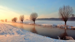 Landscapes Trees snow winter rivers