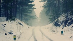 Landscapes Trees snow winter roads
