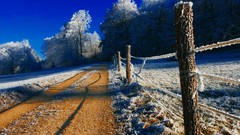 Landscapes Trees snow winter roads fences