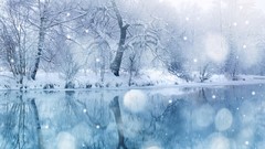 Landscapes Trees snow winter water