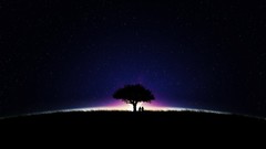 Landscapes Trees Stars