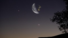 Landscapes Trees Stars moon outer space futuristic