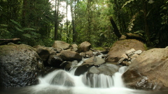 Landscapes Trees streams