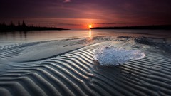 Landscapes Trees sun Beaches skyscapes