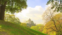 Landscapes Trees sunlight