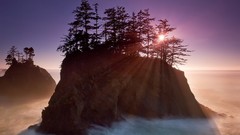 Landscapes Trees sunlight