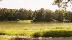 Landscapes Trees vintage rivers