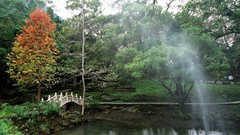 Landscapes Trees water autumn Park swimming pools