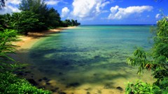 Landscapes Trees water Beaches