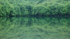Landscapes Trees water Green Japan lakes rivers