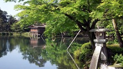 Landscapes Trees water Japan
