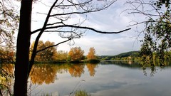 Landscapes Trees water lakes