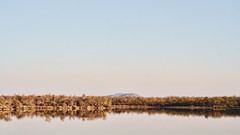 Landscapes Trees water lakes