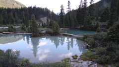 Landscapes Trees water lakes