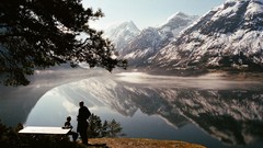 Landscapes Trees water Mountains