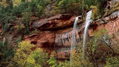 Landscapes Trees waterfalls