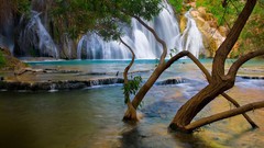 Landscapes Trees waterfalls