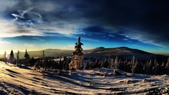 Landscapes Trees winter clouds