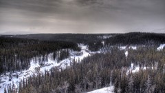 Landscapes Trees winter clouds snow-white