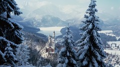 Landscapes Trees winter germany bavaria Castles Neuschwanstein 