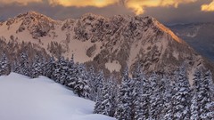 Landscapes Trees winter HDR Photography